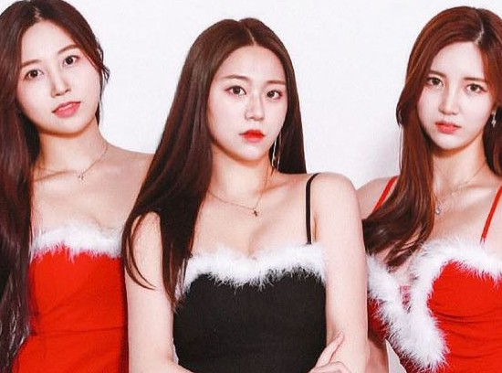 뉴스이미지