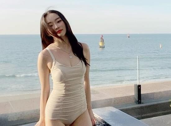 뉴스이미지