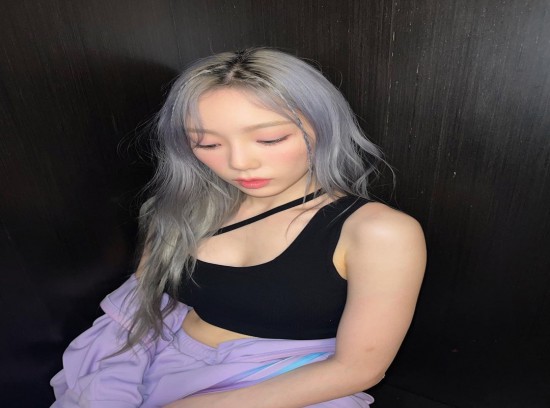 뉴스이미지
