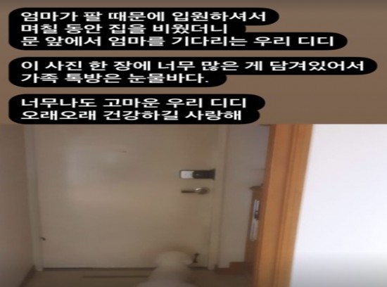 뉴스이미지